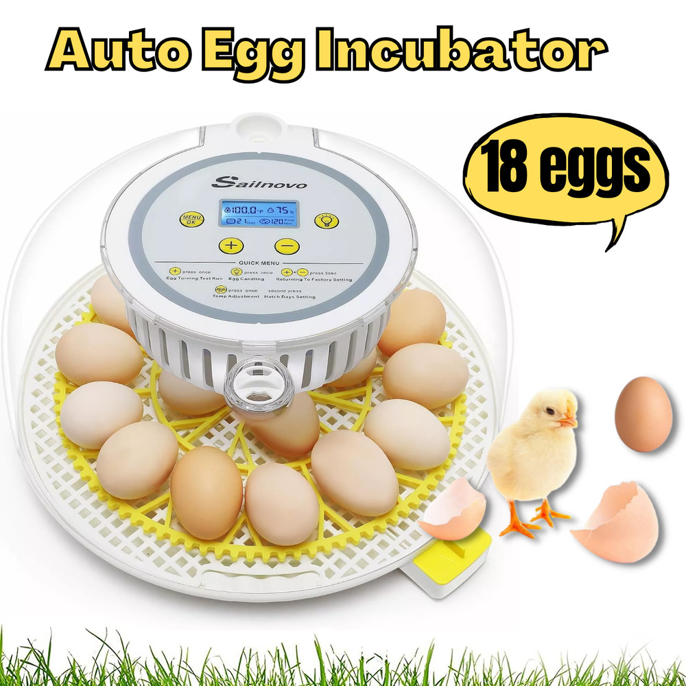 18 Egg Poultry Incubator for Hatching Chick Automatic Turning Egg Incubator