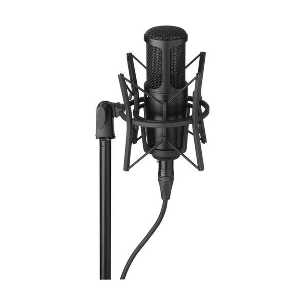 Senal SCM-660 Large-Diaphragm Multi-Pattern Condenser Microphone -