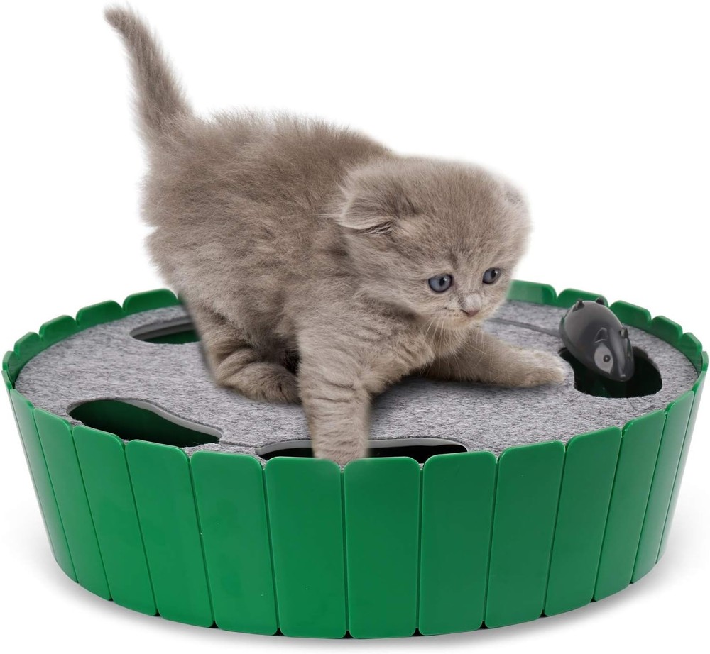 Stimulating Automatic Cat Teaser