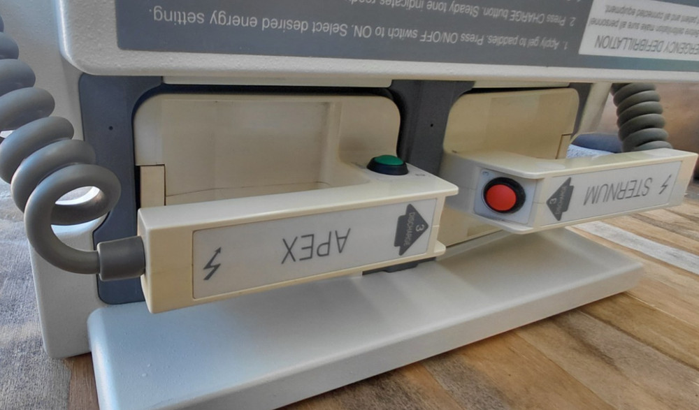 Burdick DC200 Unit Double Paddle