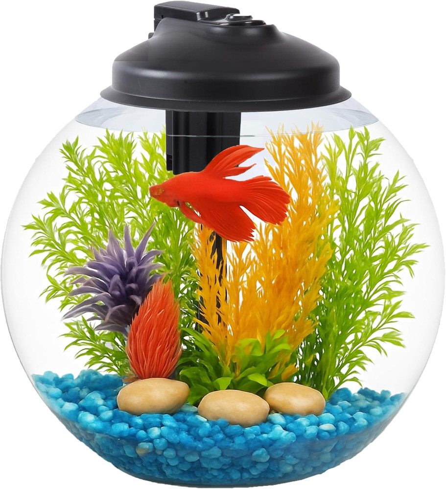3-Gallon Fish Tank, Aquarium Starter Kit Includes Power Filter, LED Light with 5