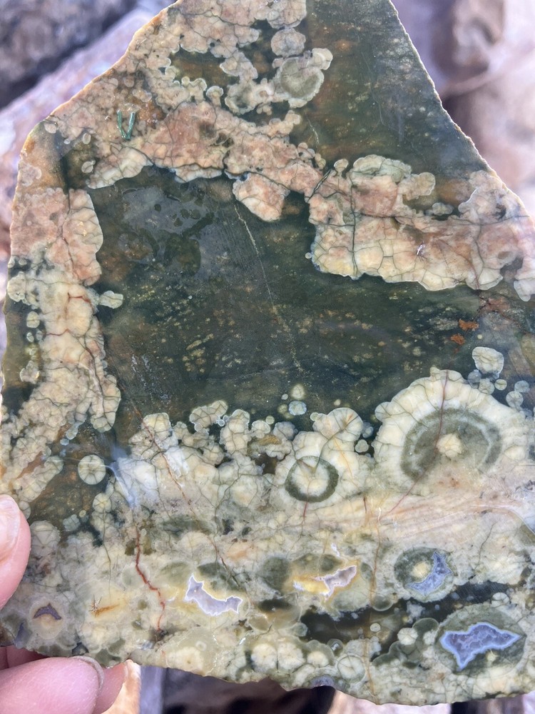 Rainforest Jasper Slab