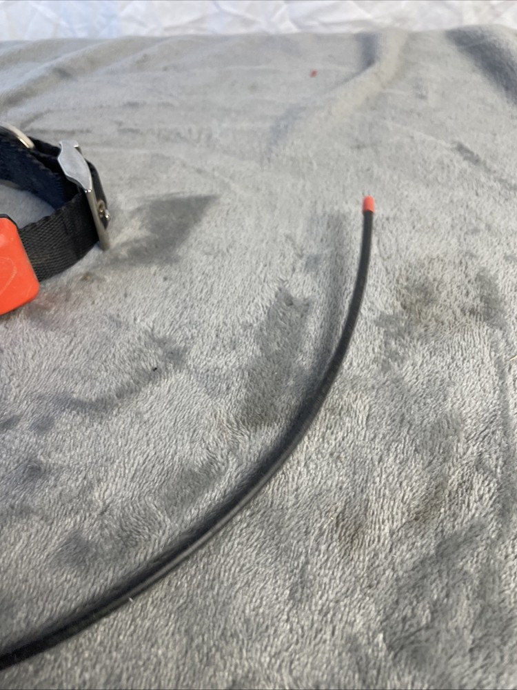 Garmin T5 GPS Dog Tracking Collar