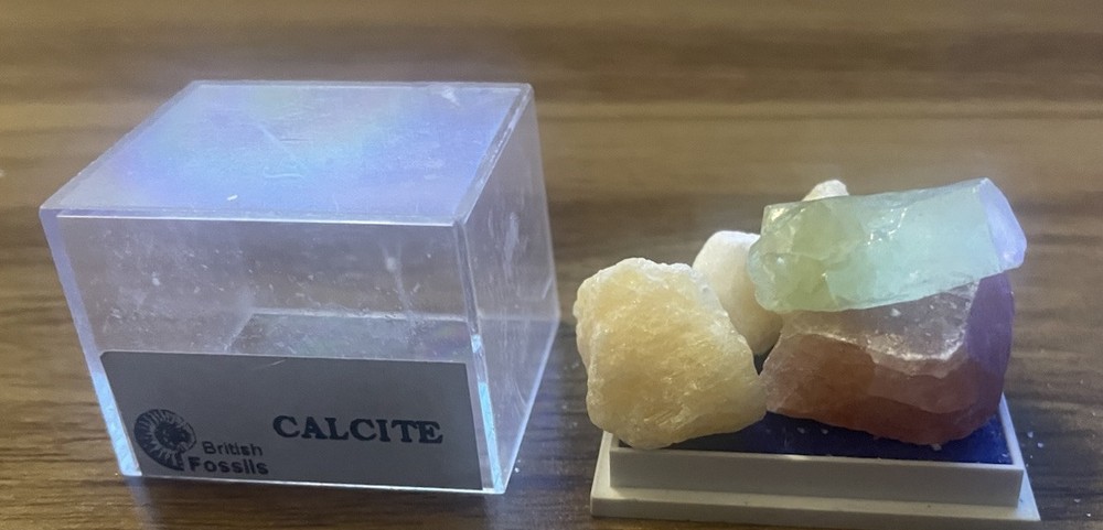 British Fossils Small Box - Calcite