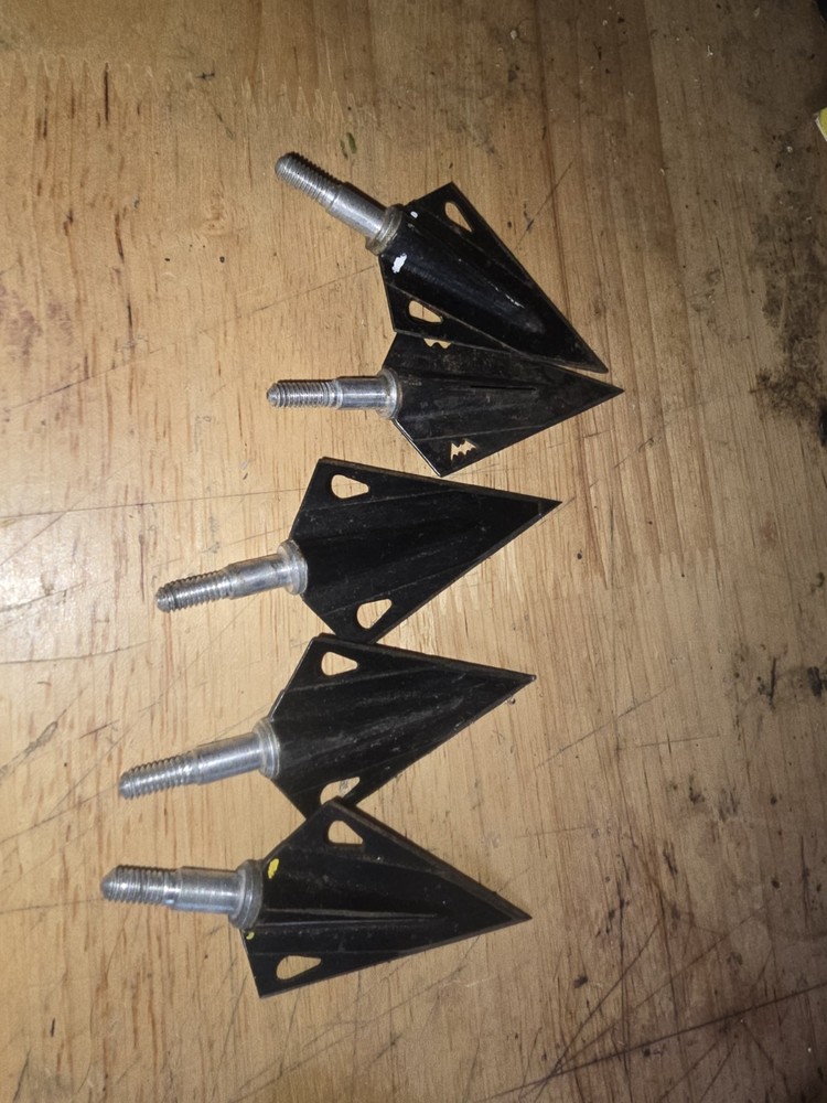 Bear Razor Head Magnus Fixed Blades