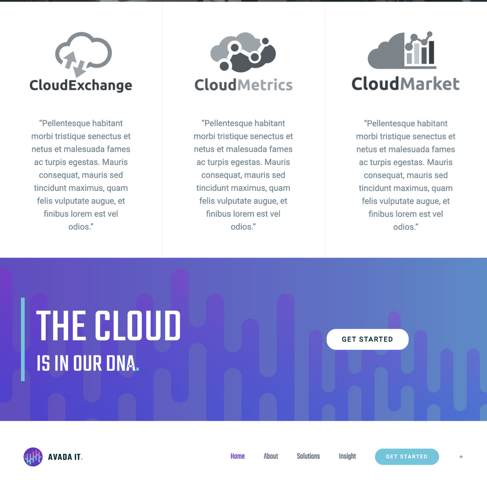 Information Technology Website Design with Free VPS Web Hosting and Installation