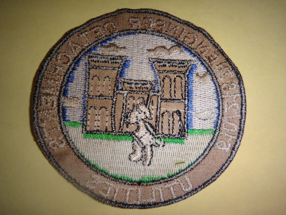 US Army 510th and 213th ENGINEER DETACHMENTS UTILITIES Patch