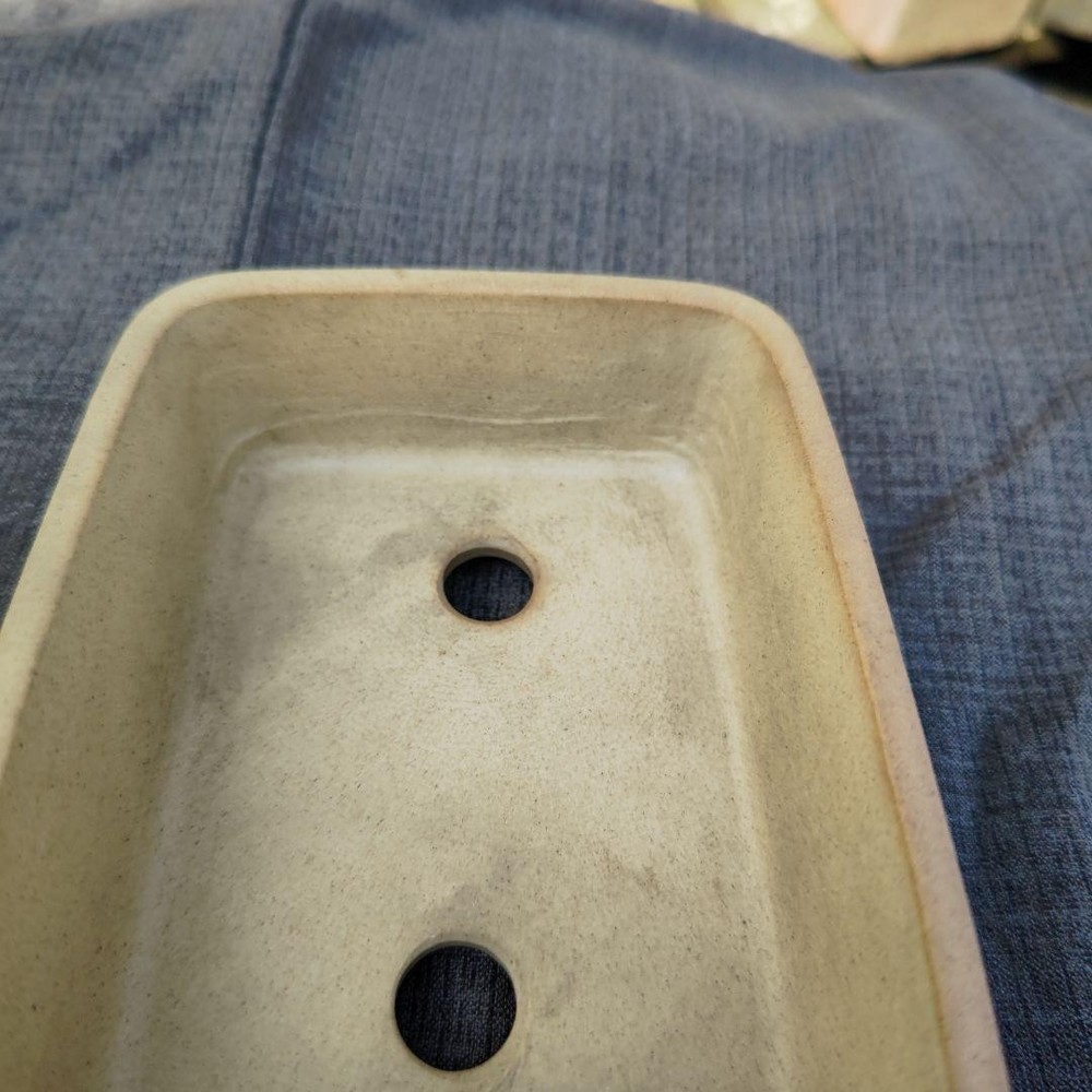 Rectangular Pottery Bonsai Pot Beige Japanese Art Shape Miniature Tree Container