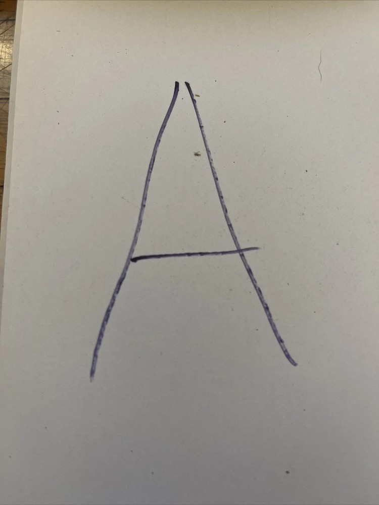 Maxitrol Gas Regulator R500S