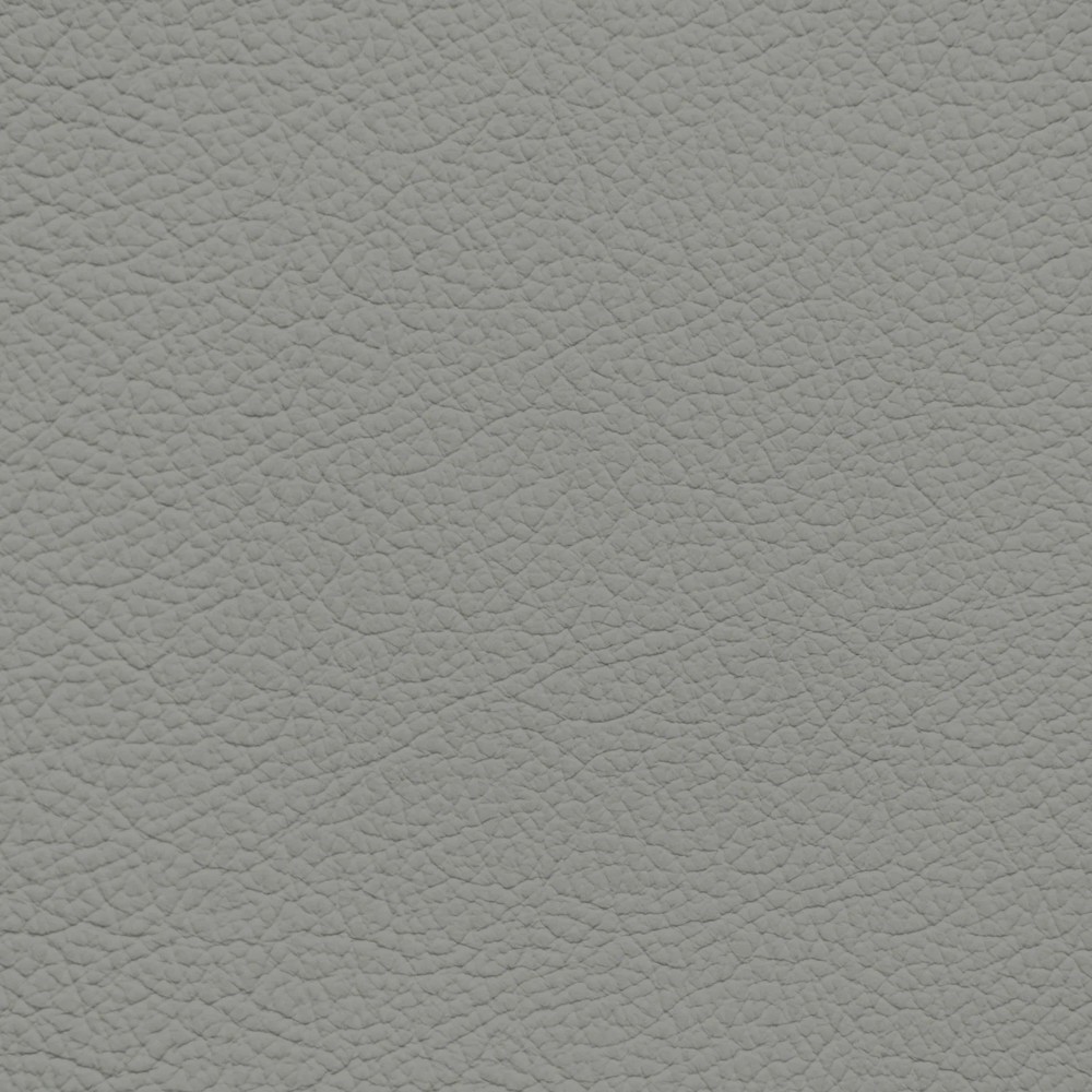 GM Light Titanium Leather Dye