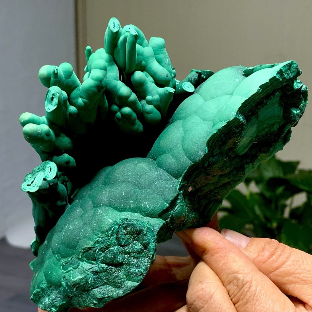 3LB Natural Columnar Malachite transparent cluster rough mineral sample