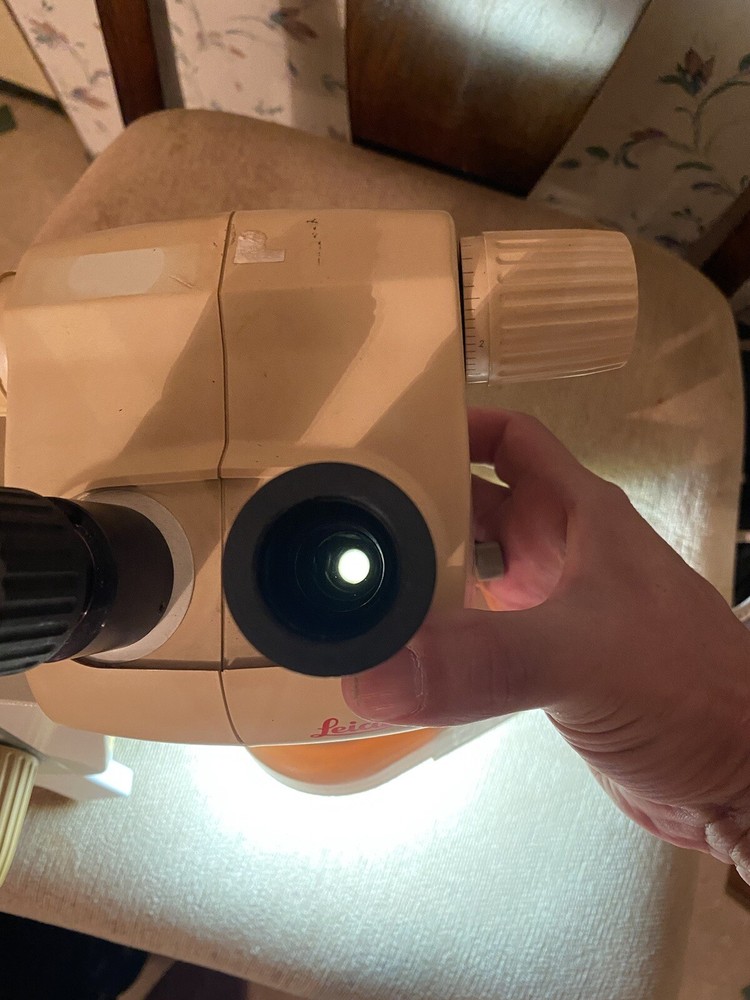 Leica GZ4 with Microlite