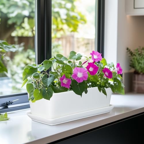 Rectangular Planter - 10 Inch Ceramic Pots for Plants with Drainage Hole and
