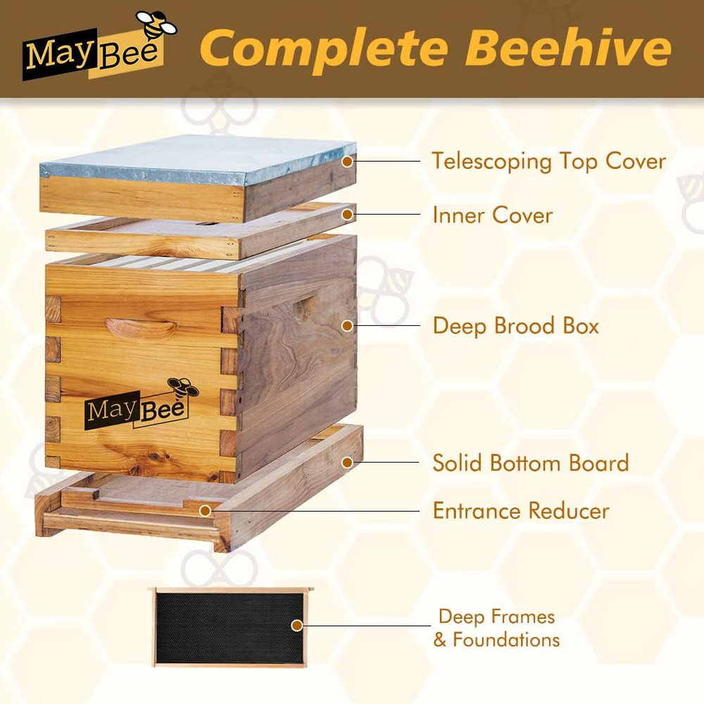 5-Frame Nuc Beehive for Bees Complete Bee Hive Box Kit for Langstroth Beekeeping