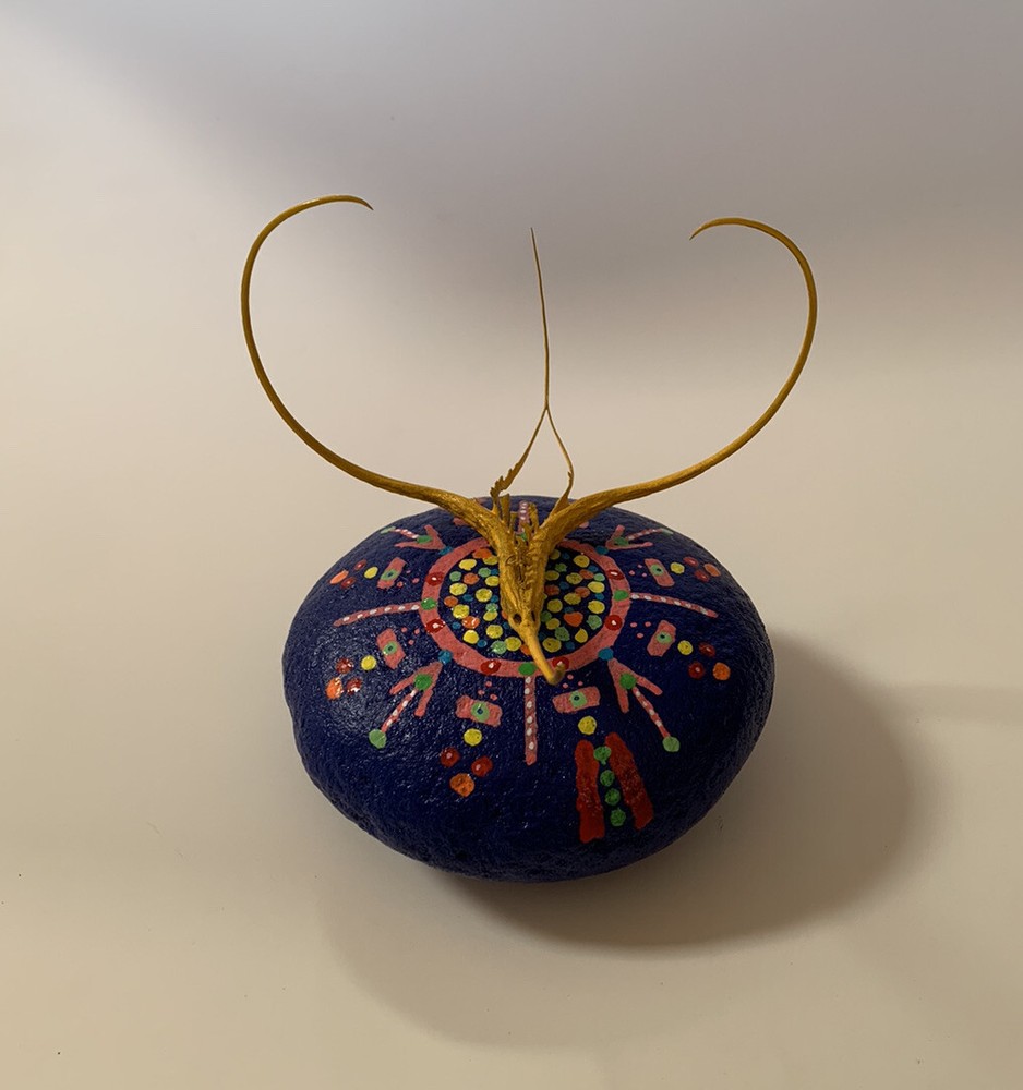 Proboscidea Devil's Claw FOLK ART SCULPTURE Painted Rock DEVIL'S Paperweight