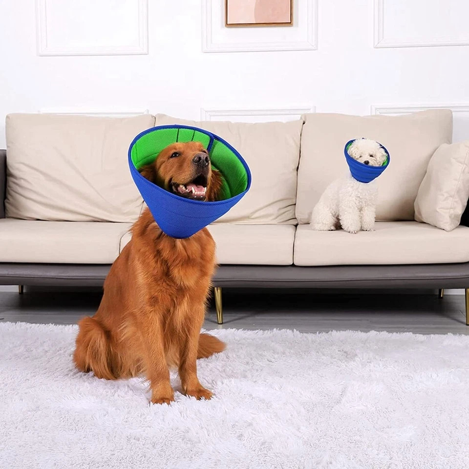 Pet Protective Collar for Dogs & Cats – Recovery Cone (Medium Size)