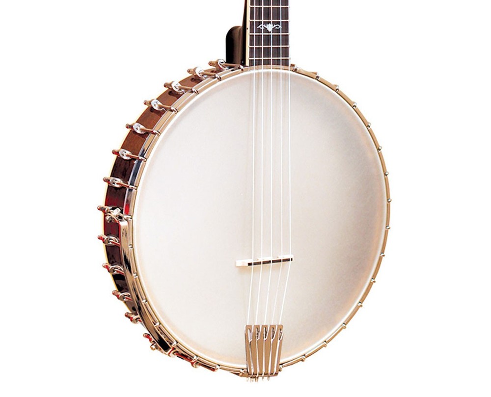 Gold Tone CEB-5 5-String Cello Banjo - Open Box