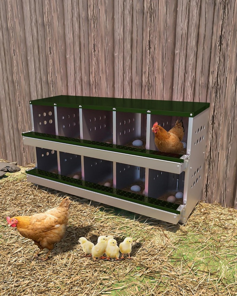 10 Compartments Chicken Nesting Box Coop Egg Laying Box Roll Away Egg Collection