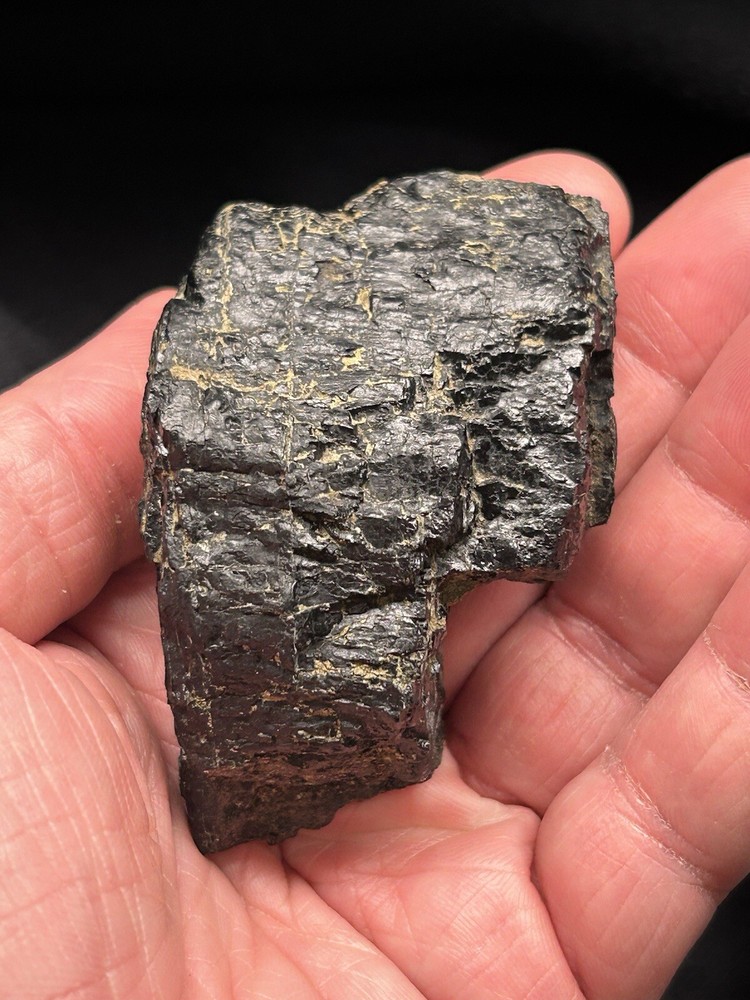 Lower Eagle Ford Cretaceous Coal Zone- Carbonized Dinosaur Age Material, Texas