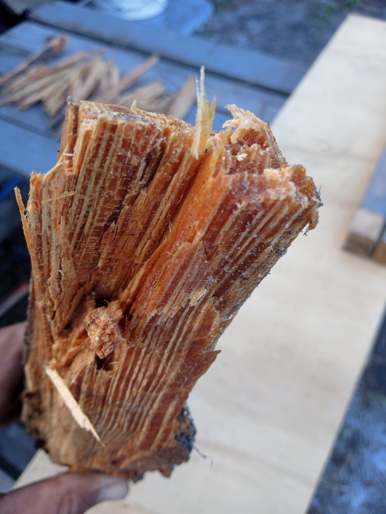 Lighter Knot / Fatwood