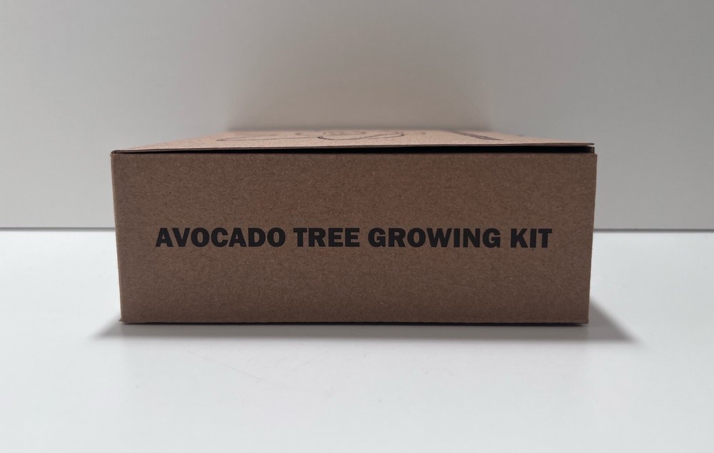 avocado tree growing kit