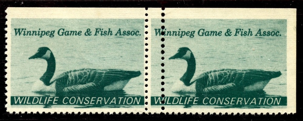 Canada 1967 Winnipeg Wildlife Duck Stamp - DOUBLE PERFORATION ERROR