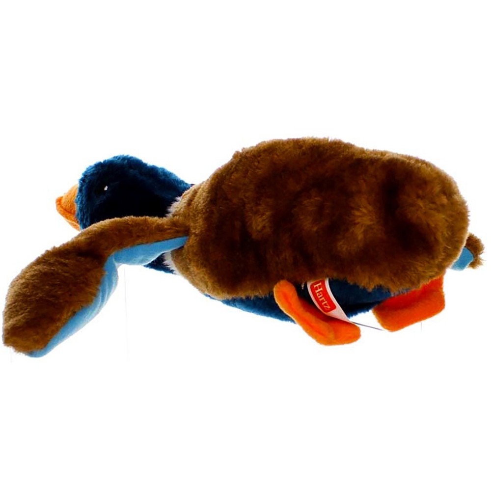 5 Pack Hartz Quackers Dog Toy, Assorted