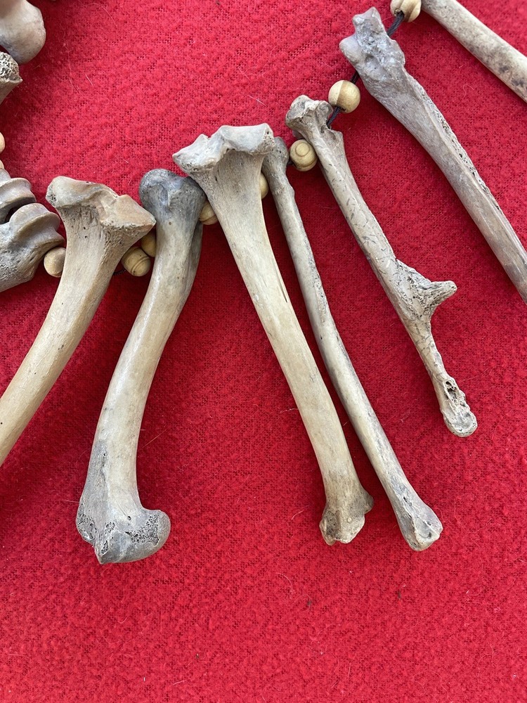 Extraordinary Old Aztec Xoloitzuintle Bone Shaman’s Necklace