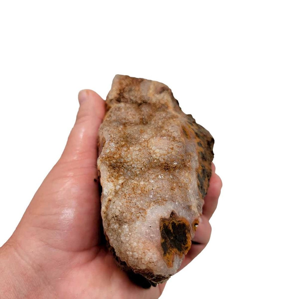 Moroccan Plume Agate Rough Chunk!