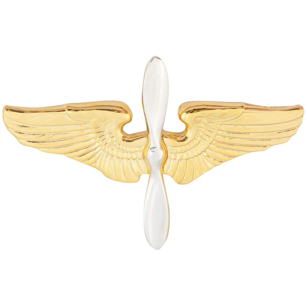 Air Force Air Corps Cadet Cap Badge