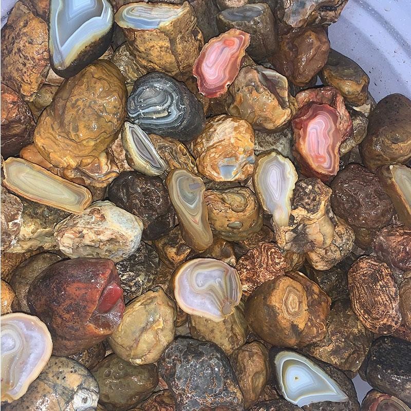 Island Agate #1 Medium (Price per pound)