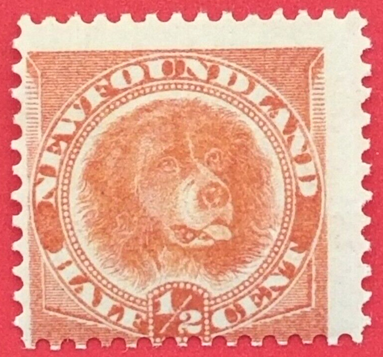 Canada Newfoundland 56 Newfoundland Dog MH