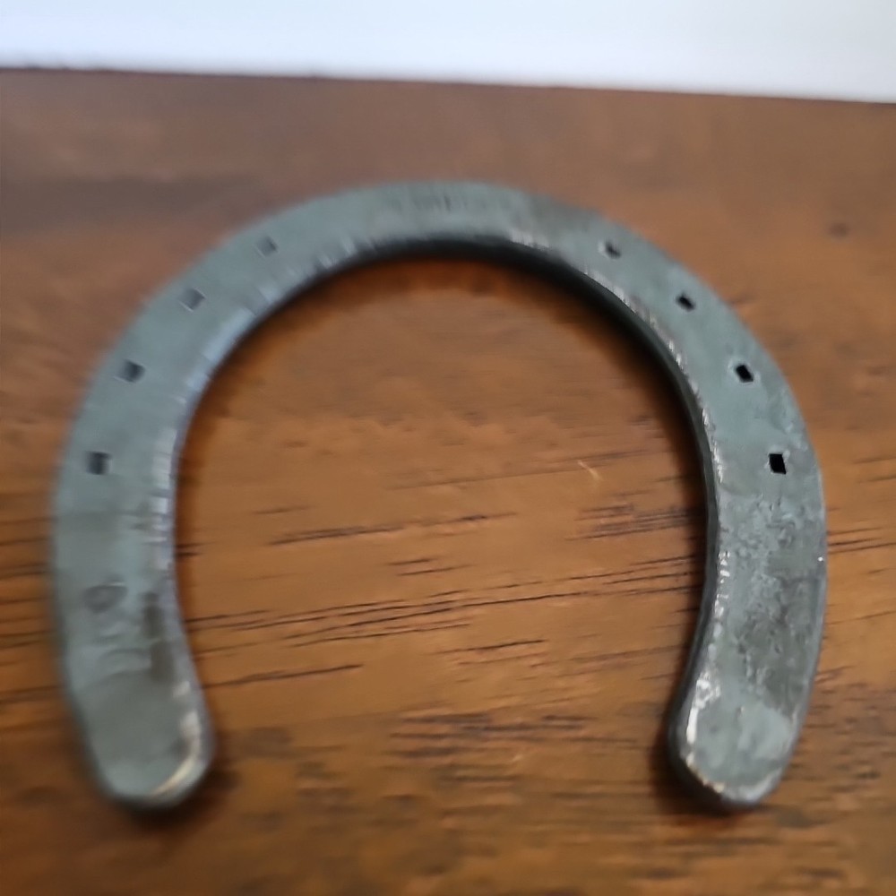 Diamond Classic Horseshoe DCO