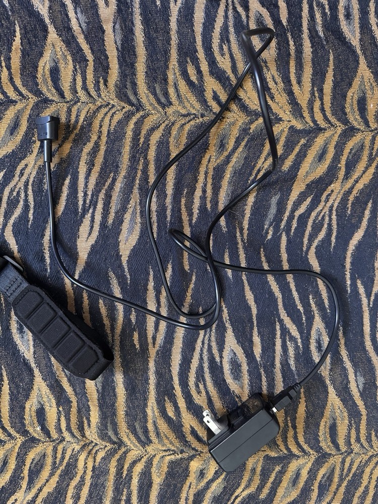 Flite Controller Remote, Wrist Strap, and Charger, Excellent Condition, Tested