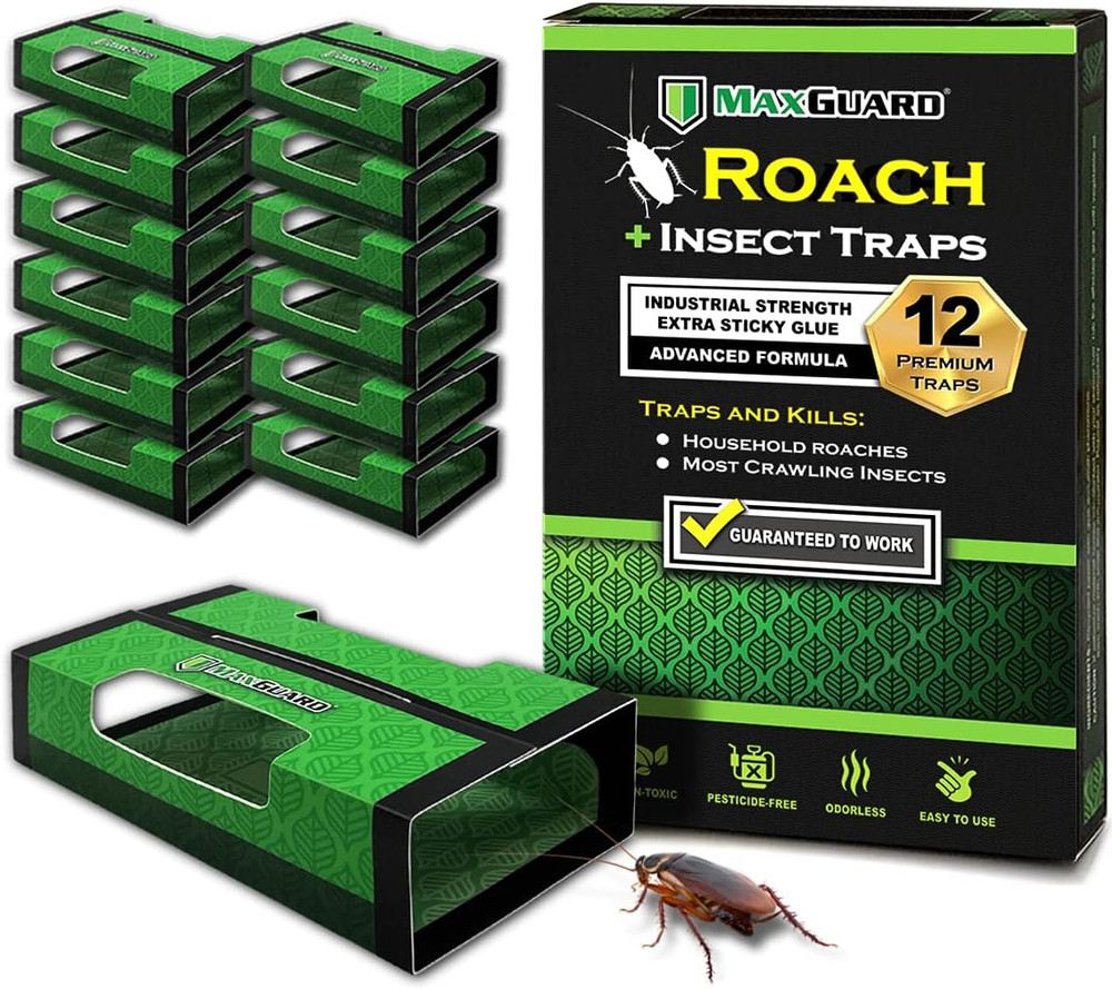 Roach + Spider Traps (12 per Box) Non-Toxic Extra Sticky Box Traps | Kill German