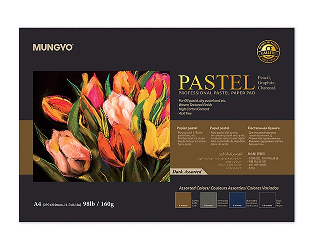 Professional Pastel Paper Pad A4 Size 30 Sheets Dark Assorted Colors