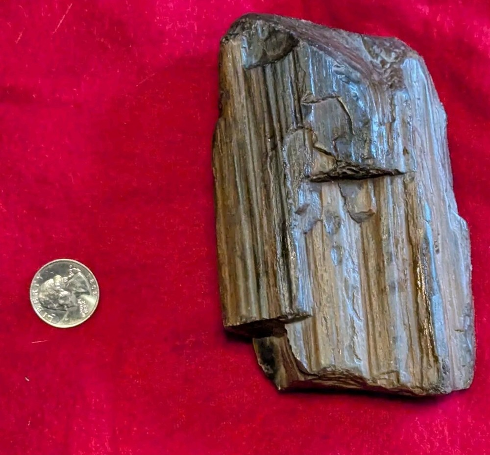 2 Lb Petrified Wood