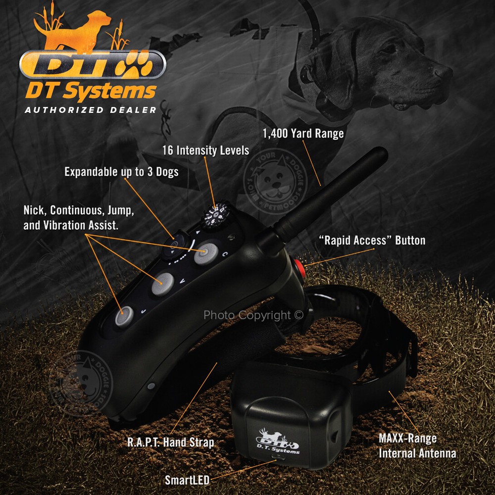 DT Systems Rapid Access Pro Trainer RAPT 1400