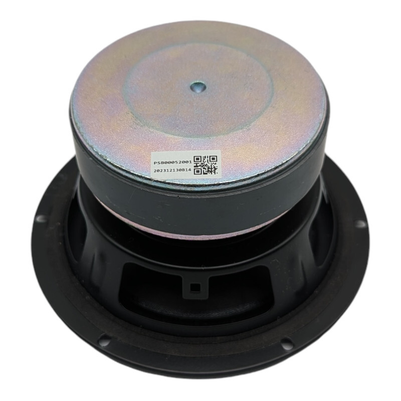 PAS02745018 - Woofer For Partybox 110