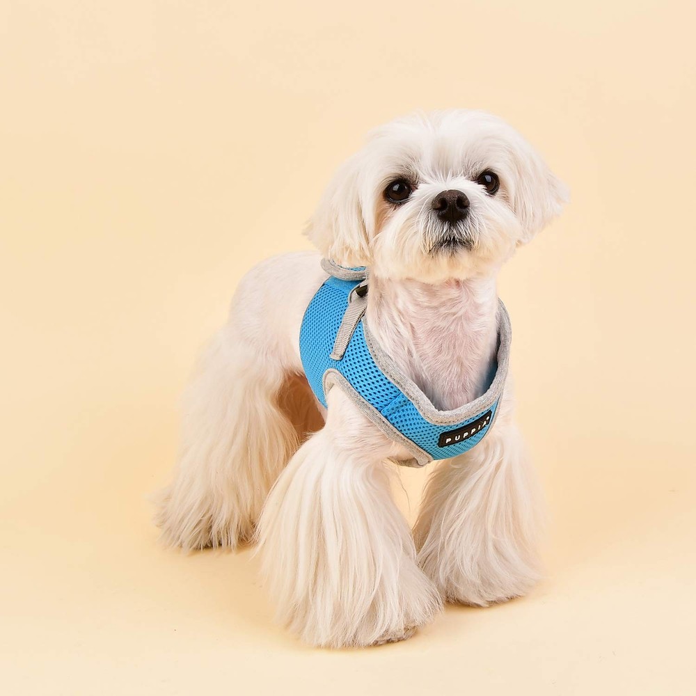Soft Vest Harness B II - Sky Blue - M