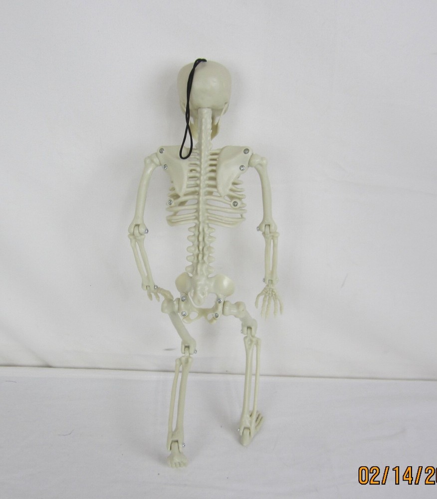 Halloween 14" Hanging Posable Skeleton
