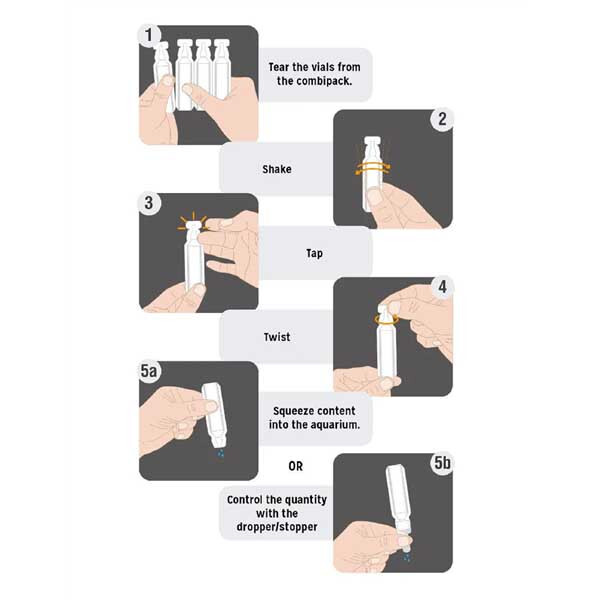 REEF SHOT - Strontium (24 Shots, 16 oz) - ASF