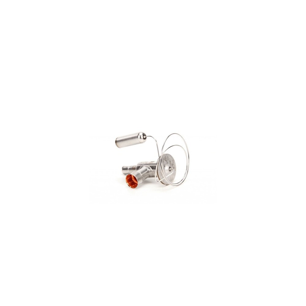 Multiplex 2976 Valve Thermal Exp Danf Oss