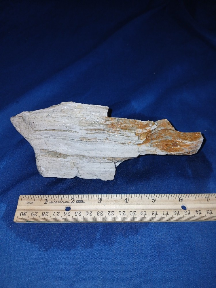 16 oz Texas Petrified Wood