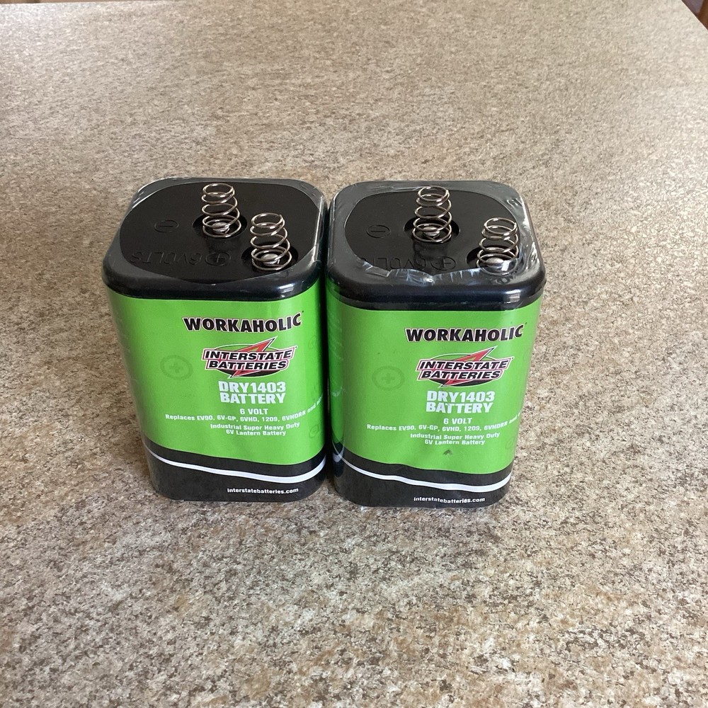 Two (2) Pack Interstate Workaholic DRY1403 Heavy Duty 6v Battery