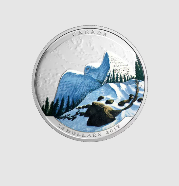 2016 Canada $20 1 oz Silver Landscape Illusion 5 Coin Set #coinsofcanada