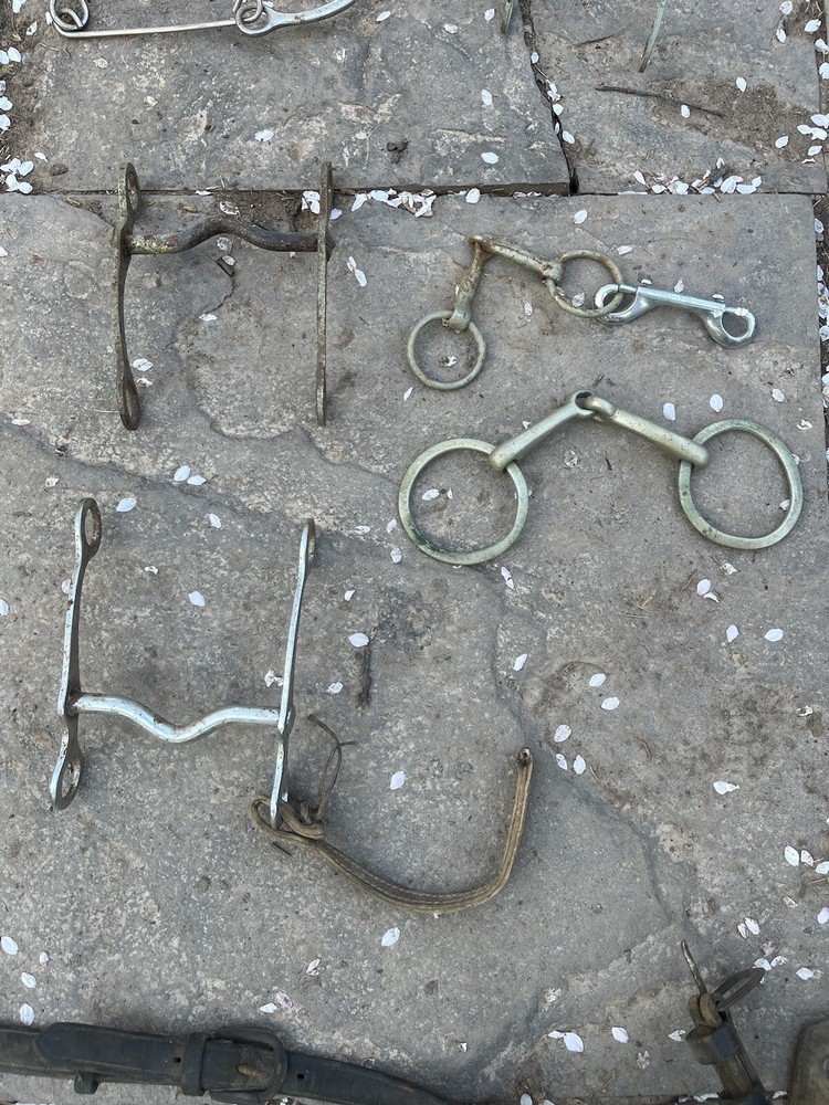 Vintage Horse Bits And Harness