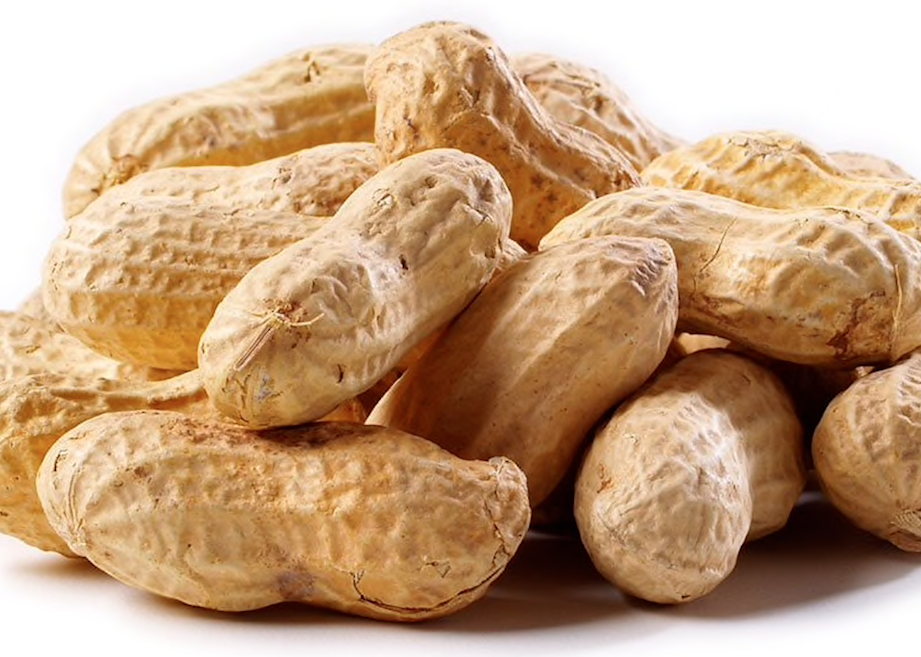 RAW IN-SHELL UNSALTED WHOLE PEANUTS 2 POUNDS - SHIPS FREE!