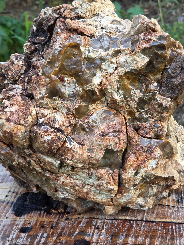 24 pound fossilized agatized opalized petrified wood quality display piece