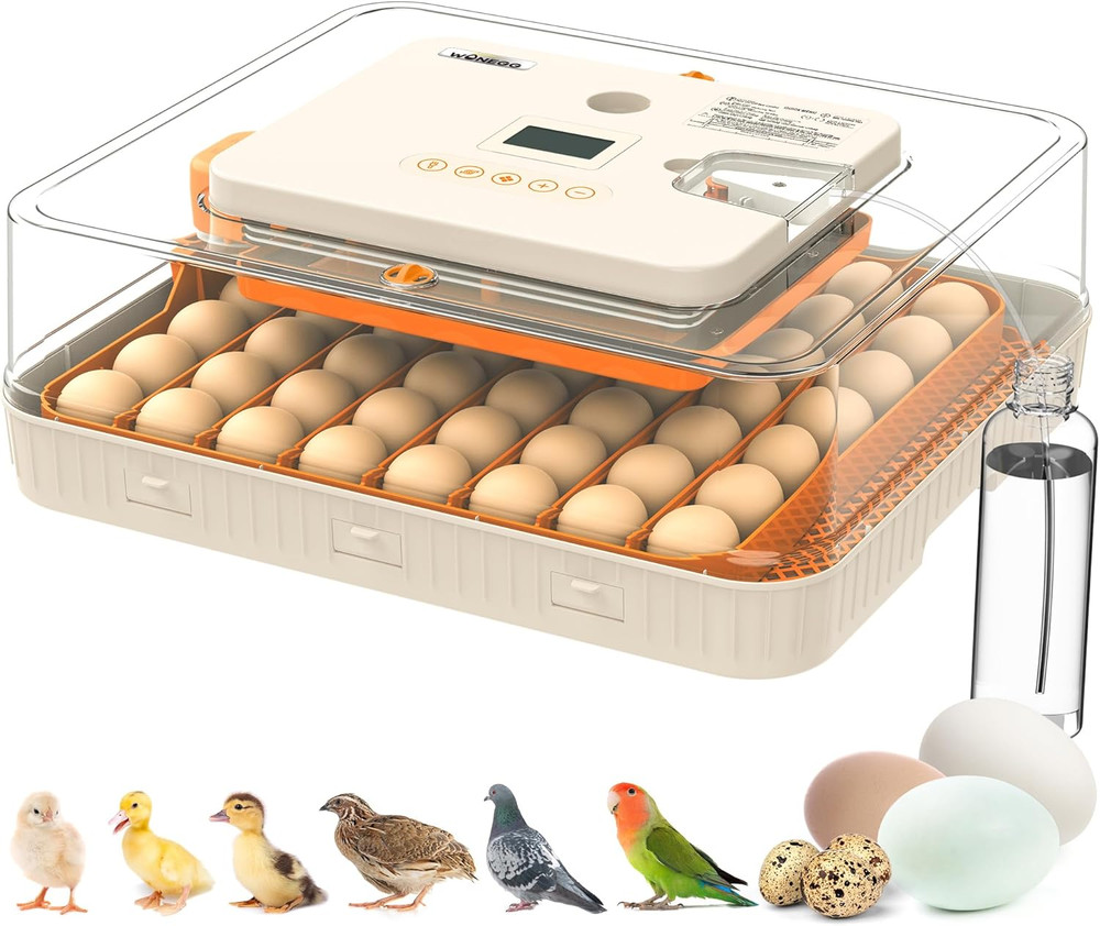 Incubator for Hatching Eggs, 56 Eggs Incubator with Automatic Egg Turning, Tempe